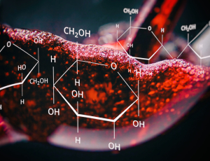 Tìm hiểu về chất tannin trong rượu vang