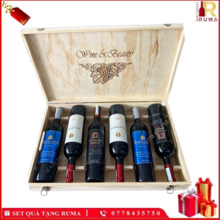 Set quà tặng combo 6 chai vang Chile San Rozas - Martin Cortes - Osvaldo