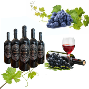 Rượu vang Ý Marcoli Primitivo 17%
