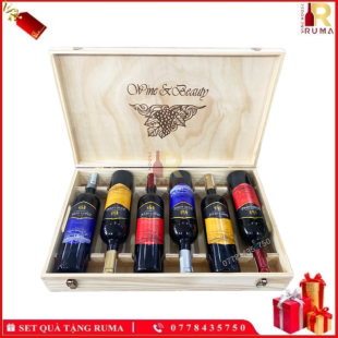 Set quà tặng 6 chai vang Chile Julio Lopez - Hộp Gỗ 1 Tầng