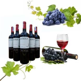 Rượu vang Chile La Roca