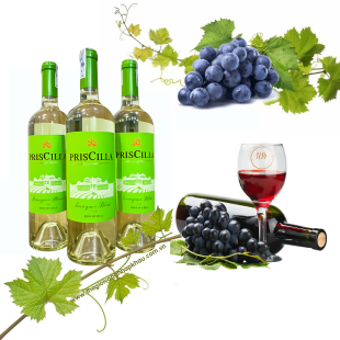 Rượu vang Chile PrisCilla trắng
