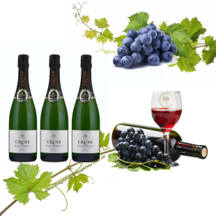 Vang nổ Pháp Sparkling Wine Cruse Brut