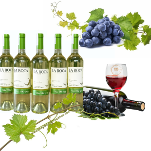 Rượu vang Chile La Roca trắng