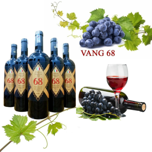 Rượu vang Ý 68