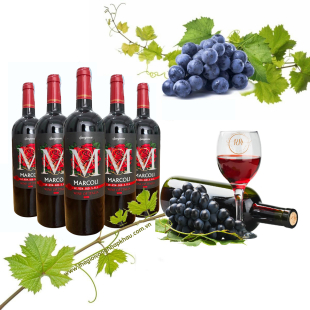 Rượu vang Ý Marcoli Rosso (hoa hồng)