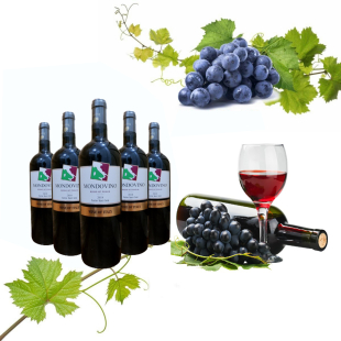 Rượu vang Ý Mondovino Rosso